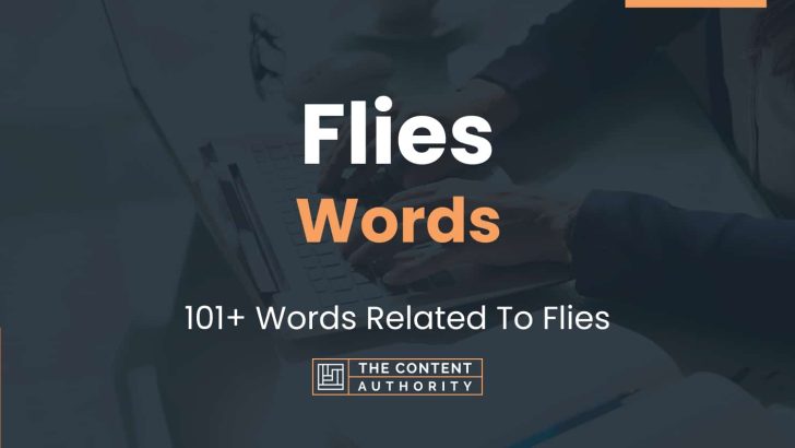 Flies Words - 101+ Words Related To Flies