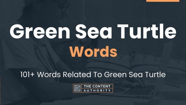 Green Sea Turtle Words - 101+ Words Related To Green Sea Turtle