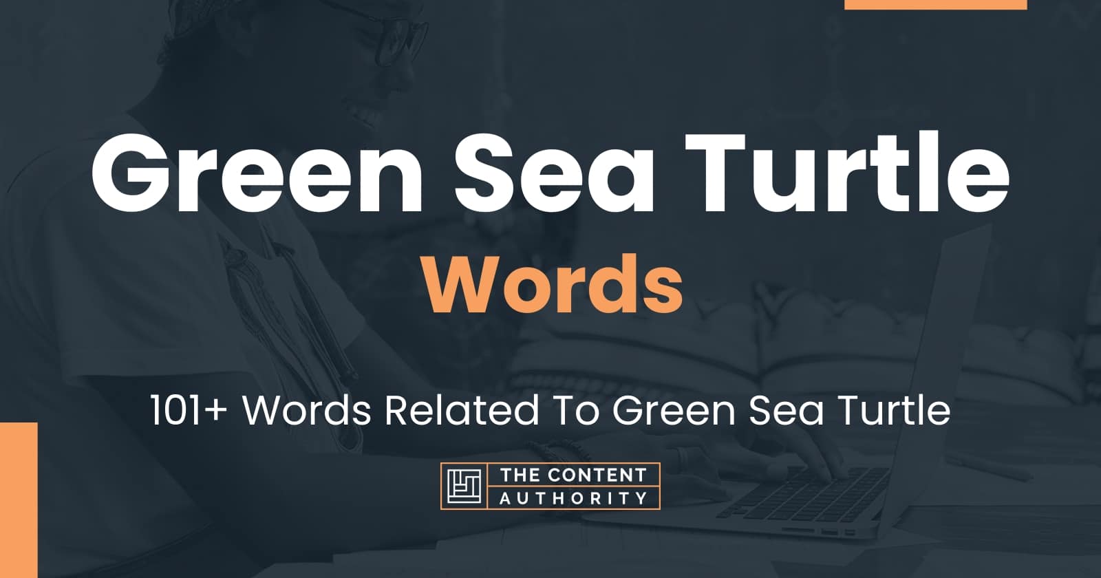 Green Sea Turtle Words - 101+ Words Related To Green Sea Turtle