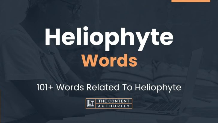 Heliophyte Words - 101+ Words Related To Heliophyte