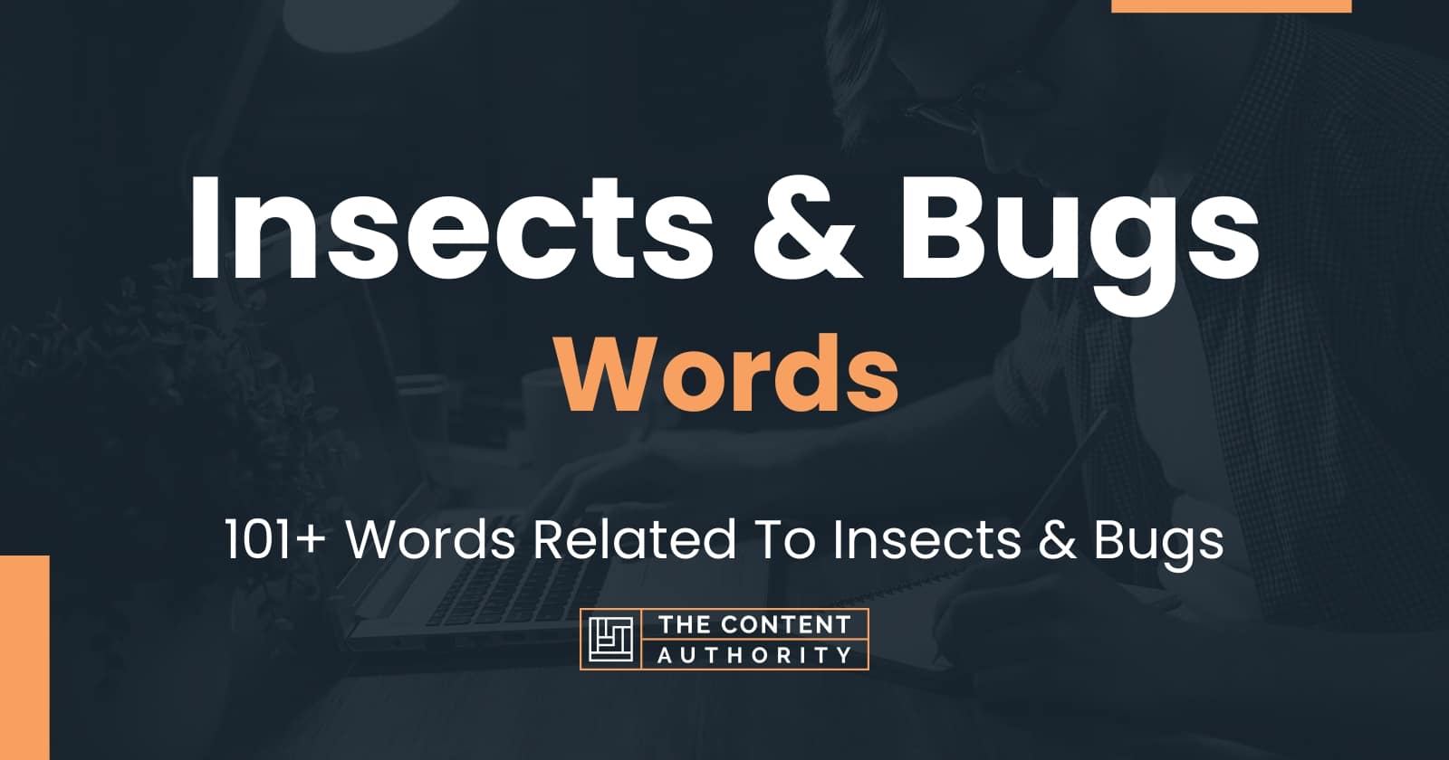 insects-bugs-words-101-words-related-to-insects-bugs