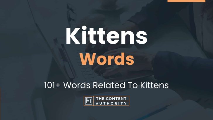 Kittens Words – 101+ Words Related To Kittens