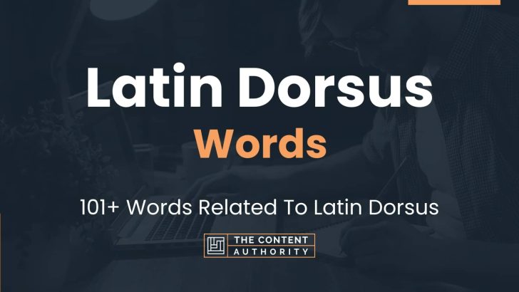 Latin Dorsus Words – 101+ Words Related To Latin Dorsus