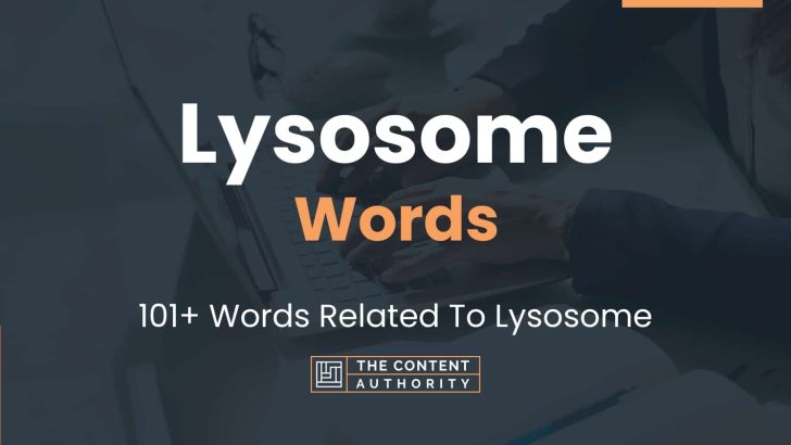 words related to lysosome