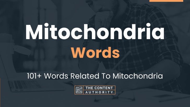 Mitochondria Words – 101+ Words Related To Mitochondria