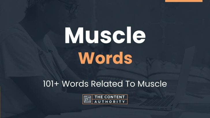 Muscle Words – 101+ Words Related To Muscle
