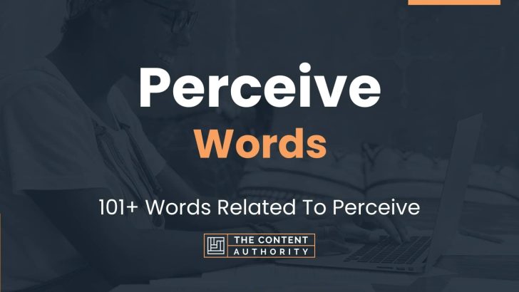 Perceive Words – 101+ Words Related To Perceive
