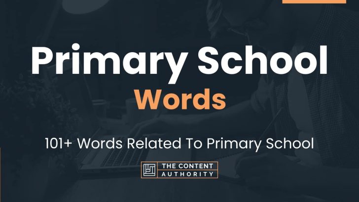 words related to primary school