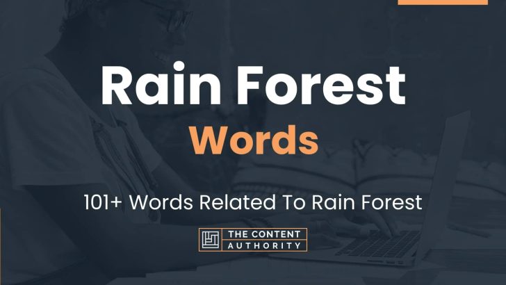 words related to rain forest