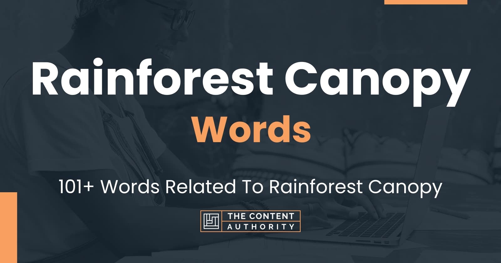 rainforest-canopy-words-101-words-related-to-rainforest-canopy