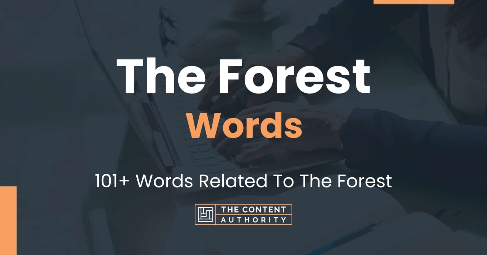 the-forest-words-101-words-related-to-the-forest