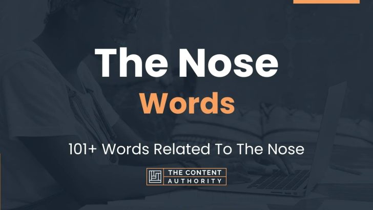 The Nose Words – 101+ Words Related To The Nose