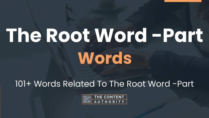 words related to the root word -part
