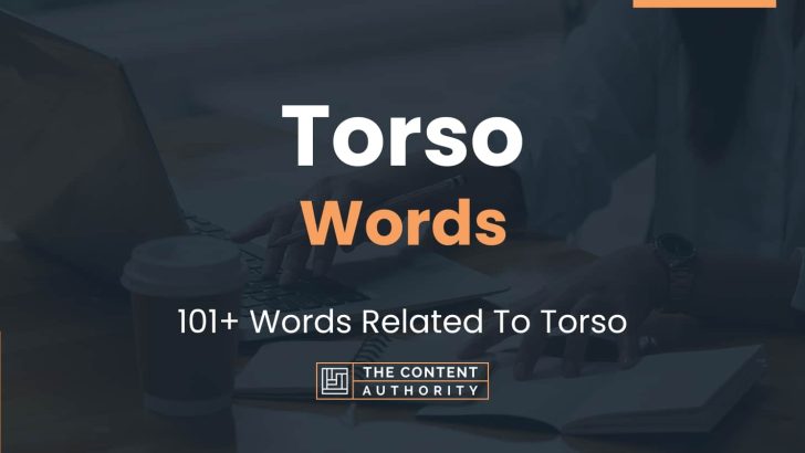 Torso Words – 101+ Words Related To Torso