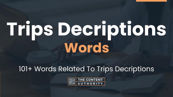 Trips Decriptions Words – 101+ Words Related To Trips Decriptions