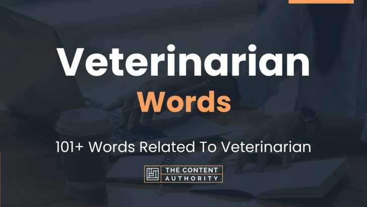 Veterinarian Words – 101+ Words Related To Veterinarian