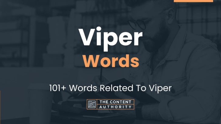 Viper Words – 101+ Words Related To Viper